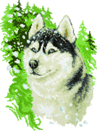 Diamond Painting - Husky