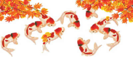 Koi Karpers