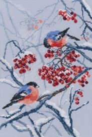 Bullfinches in rowanberries