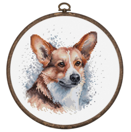 Welsh Corgi