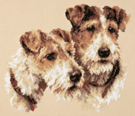 Fox Terriers