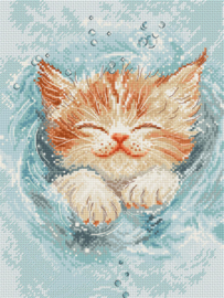 Splashing Time