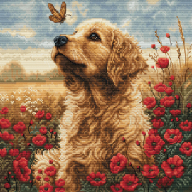 Hond in Klaprozenveld