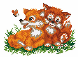 Fox Cubs