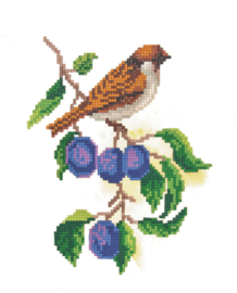 Diamond Painting - Sparrow