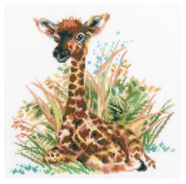 Kleine Giraf