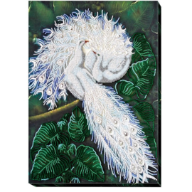 Witte Pauwen