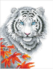 White Tiger in Autumn