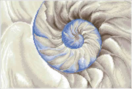 Nautilus