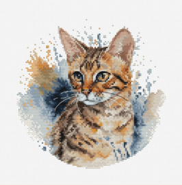 Bengaalse Kat