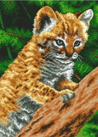 Bobcat