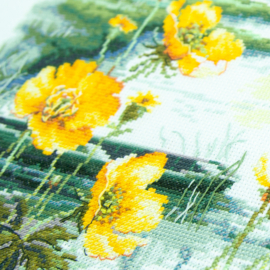 Libelle en boterbloemen