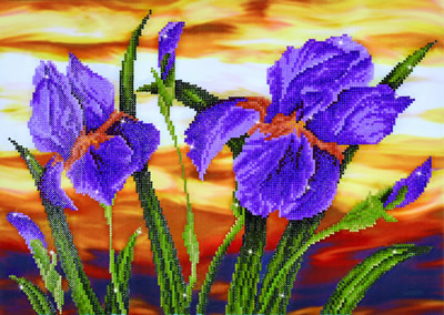 Irissen Zonsondergang