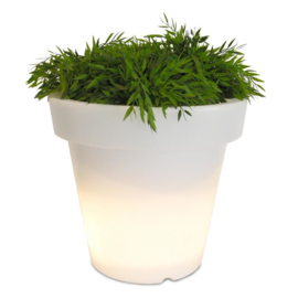 BLOOM ! The original bloempot met verlichting 100cm hoog en 110cm rond