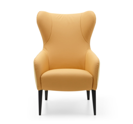 Prominent Alliste bijzet fauteuil