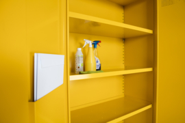 Veiligheidskast DMCHDR 195x100