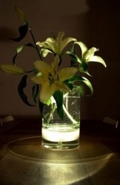 Bloom ! Vase - Vaas op losse voet/bodem van glas waarin LED-verlichting