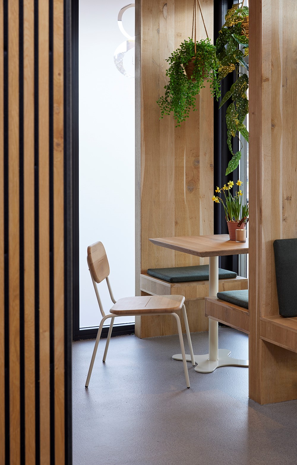 Spoinq Bartafel Clover