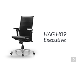 HAG H09