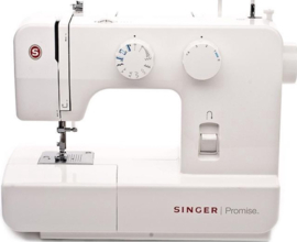 Singer promise