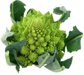 Romanesco per stuk