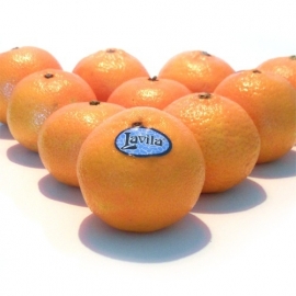 Mandarijn Clementine per 15 stuks