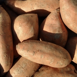 Zoete Aardappel per 500 gram