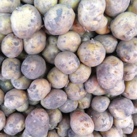 Opperdoezer per kilogram