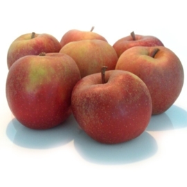 Goudreinet per kilogram