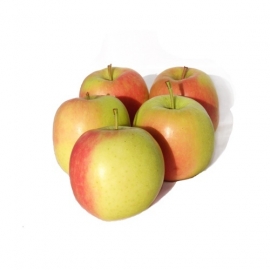 Delbarestivale (Delcorf) per 5 stuks
