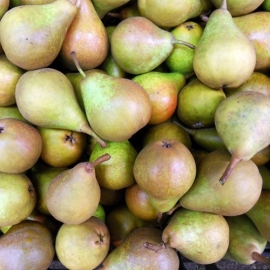 Gieser Wildeman Stoofpeer per kilogram