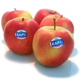 Kanzi Appel per 5 stuks