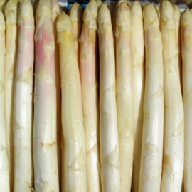 Asperge Wit NL per 500 gram