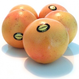 Rode Grapefruit per 5 stuks