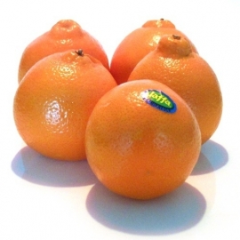 Minneola per 5 stuks