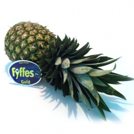 Ananas  Super Sweet per stuk