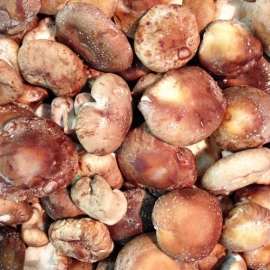 Shiitake per 100 gram