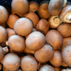 Kastanje Champignon per 250 gram