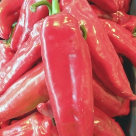 Punt Paprika per 3 stuks