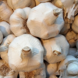 Knoflook Gedroogd per stuk