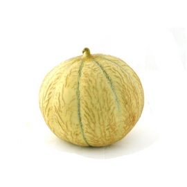 Cantaloupe Meloen per stuk