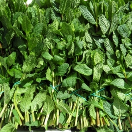 Munt (mint) per bos 100 gram