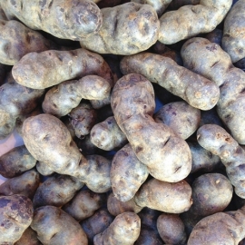 Truffelaardappel per 500 gram
