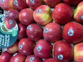 Bloss appel per 5 stuks
