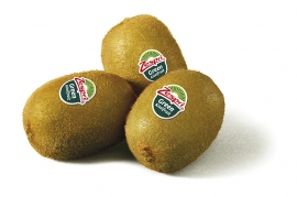 Kiwi Green per 10 stuks