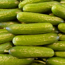 Snack Komkommer per 500 gram (4-7 stuks )