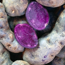 Truffelaardappel per 500 gram