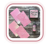 Ranger  Tim Holtz Distress Oxide Ink Pad Kitsch Flamingo