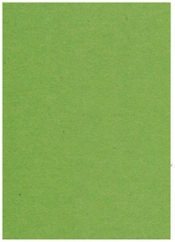 Emerald Kraftpapier ( mosgroen) A4 220 grams