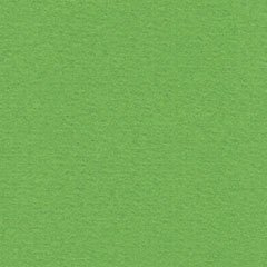 Papicolor Grass Green A4 200 grms 907